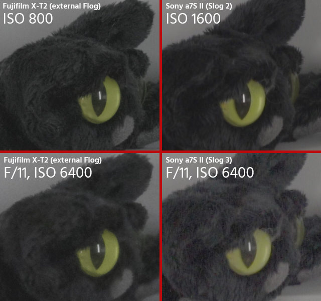 100% crop from 4K image