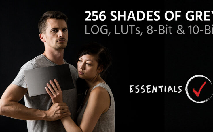 256 Shades of Grey – LOG, LUTs, 8-Bit and 10-Bit